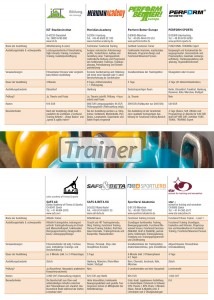Uebersicht-Ausbildungen-Functional-Training