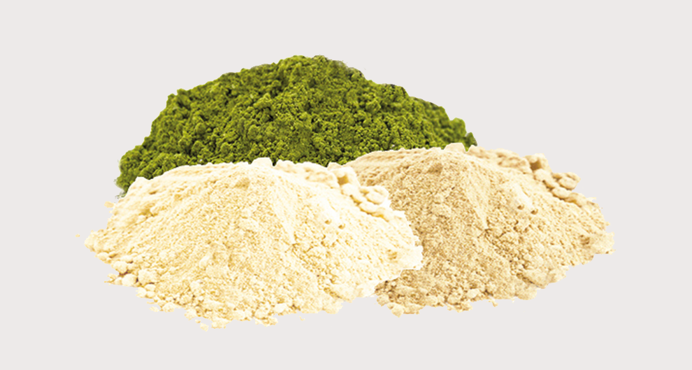 Pflanzliche Proteine wie Reis oder Hanf liefern sehr hochwertiges Protein